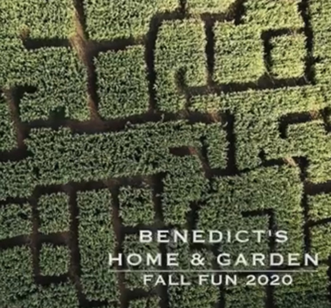 Fall Fun Benedict's Home and Garden