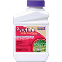 Pyrethrin Concentrate