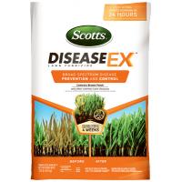 Scotts Disease-Ex