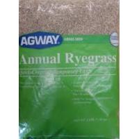 Annual Ryegrass Grass Seed
