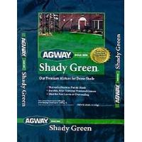 Shady Green Grass Seed