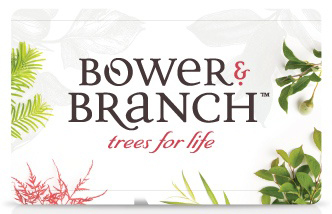 Bower and Branch