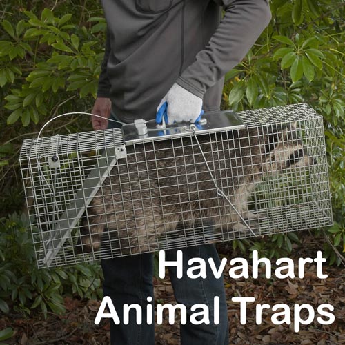 Havahart