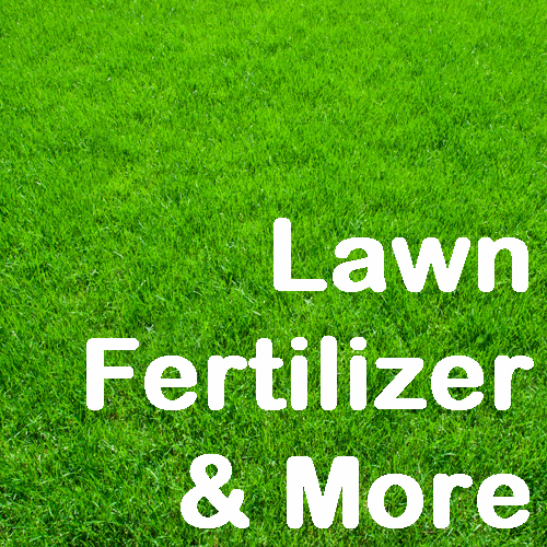 Lawn