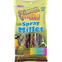 Tropical Carnival Spray Millet