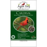 Aspen Song Cardinal
